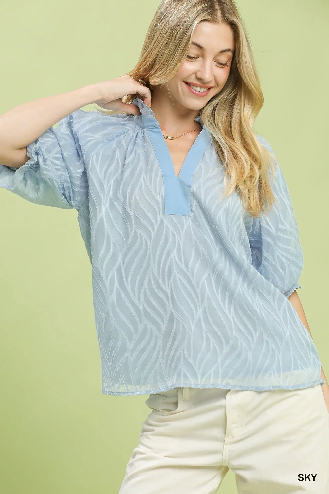 Textured Puff Sleeve Top