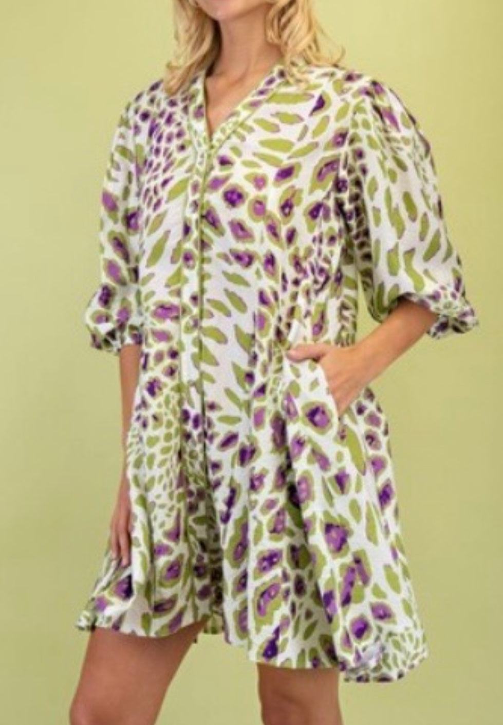Animal Print Dress