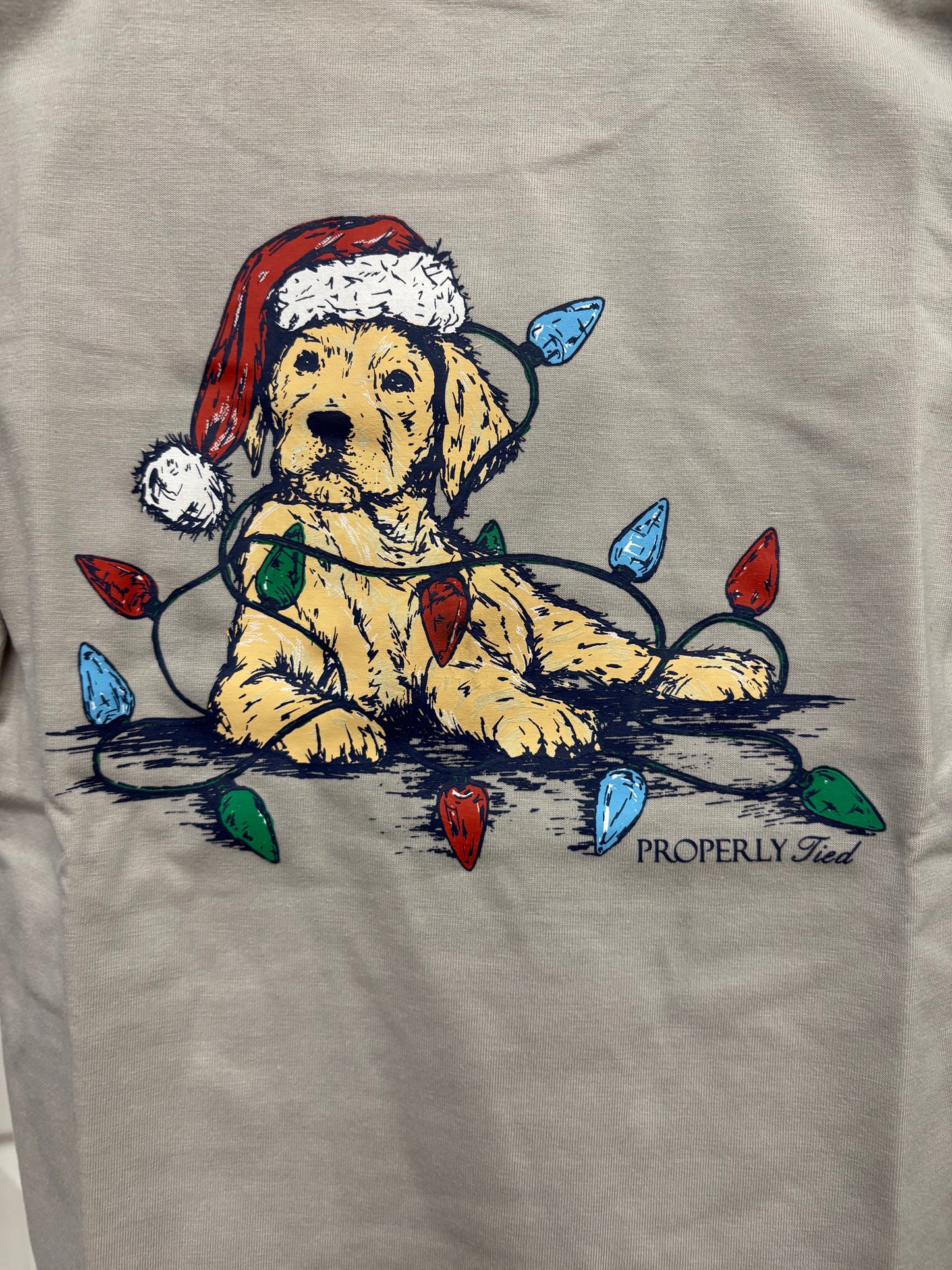 Boys Santa Puppy Tee