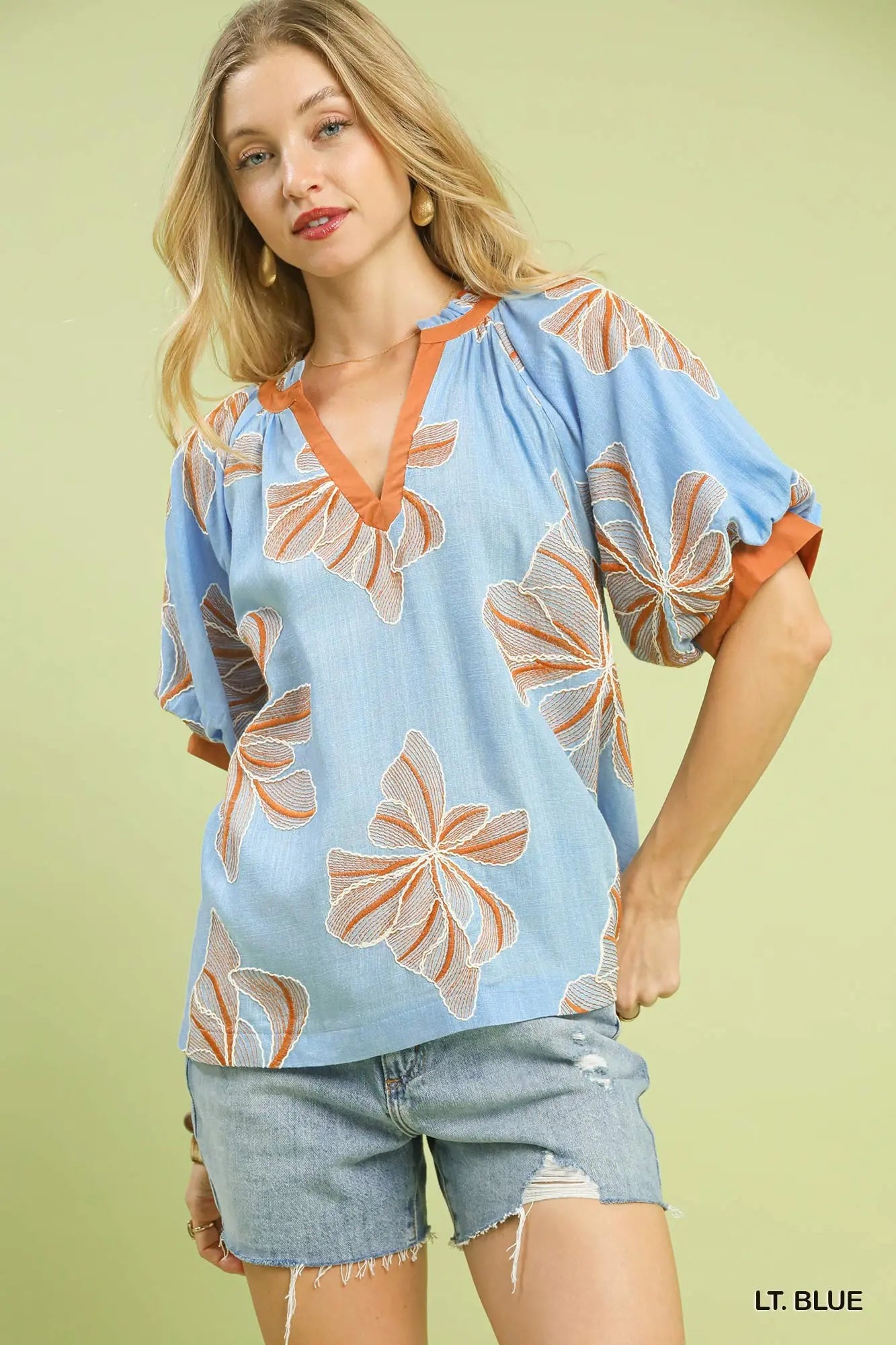 Embroidered V-Neck Top