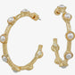 Pearl & Gold Hoops