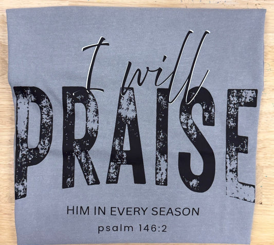 I will Praise Him in every season tee