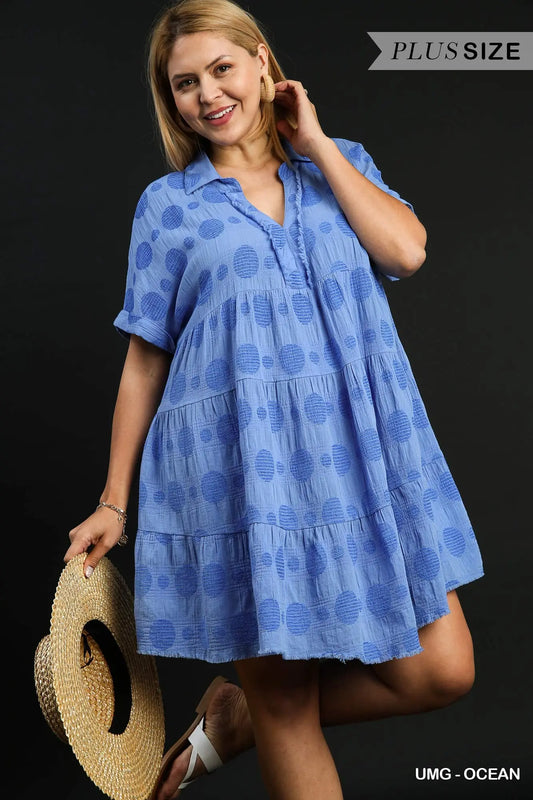 Blue Collared Design Dress