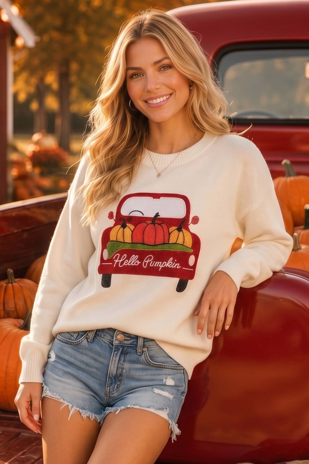 Pumpkin Truck Embroidered Patchwork Sweater Knit Top